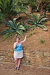 Lindsey demonstrates how large the aloe-like plants are