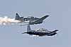 T6 Texan and T6 Texan II, CIAS 2005