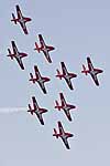 Snowbirds, CIAS 2005