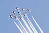 Snowbirds, CIAS 2005