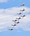 RCAF Snowbirds banking