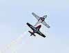 RCAF Snowbirds at the 2019 CIAS