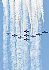 RCAF Snowbirds at 2021 CIAS