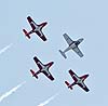 RCAF Snowbirds at 2021 CIAS