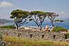 A view of St-Tropez from the Citadelle