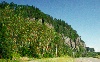 Scenery along the highway near the Lake Nipigon shore