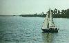 A sailboat in the harbour at Santa Cruz, California, U.S.A.  The lighthouse can be seen in the background in this picture taken from the Municipal Wharf.