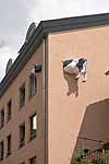 This cow was embedded in the wall of our hotel